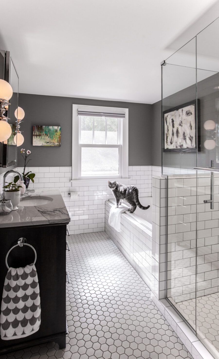 Modern, sleek, renovated bathroom; gray walls, white tiling, dark vanity.