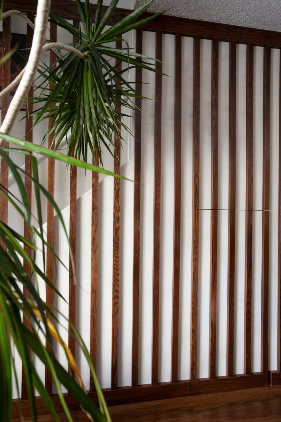 Dark wood vertical slats, white interior wall, lush plant, remodel.