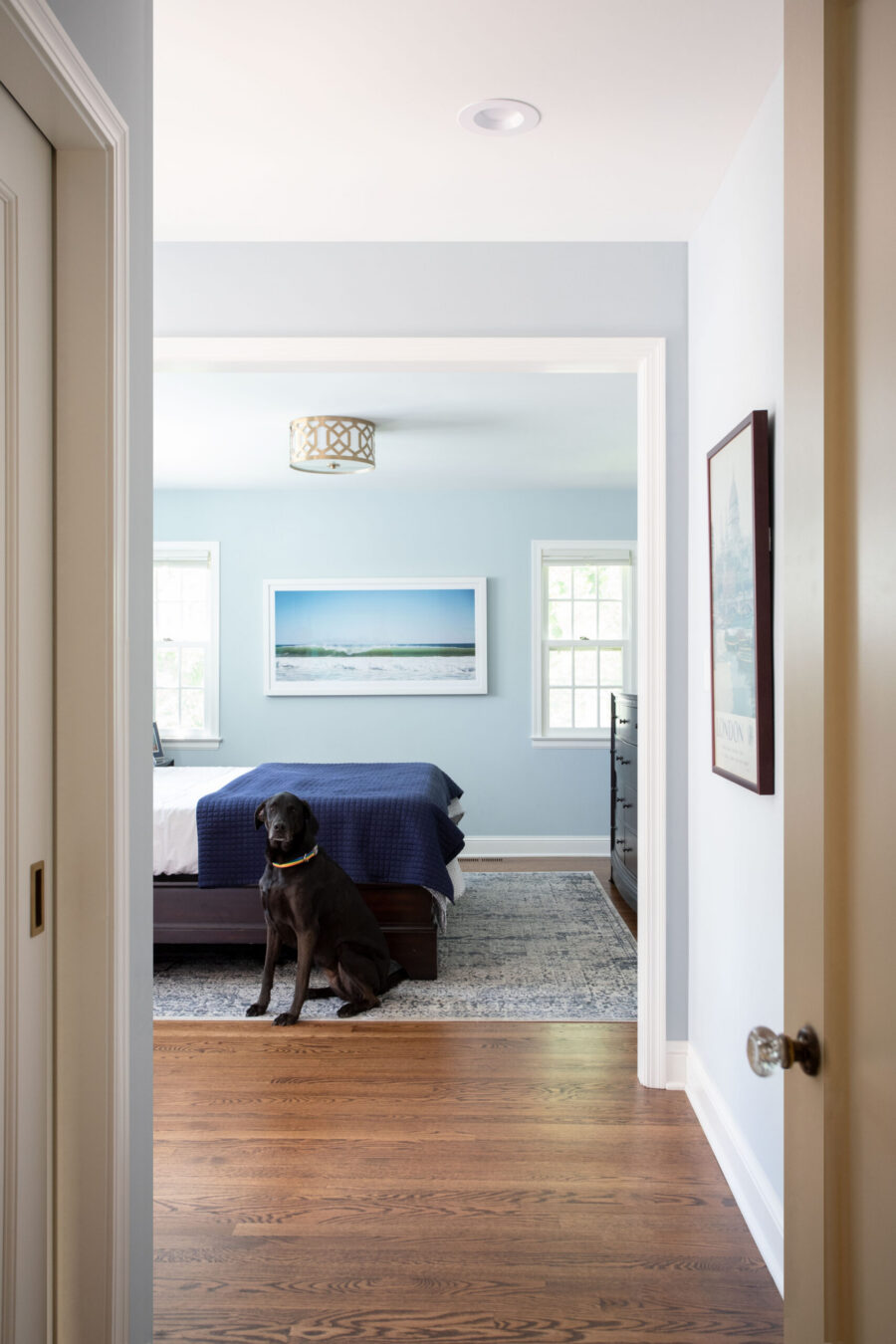 A Twin Cities home renovation bedroom features light blue walls, a dark bed, decorative ceiling light, hardwood floors.