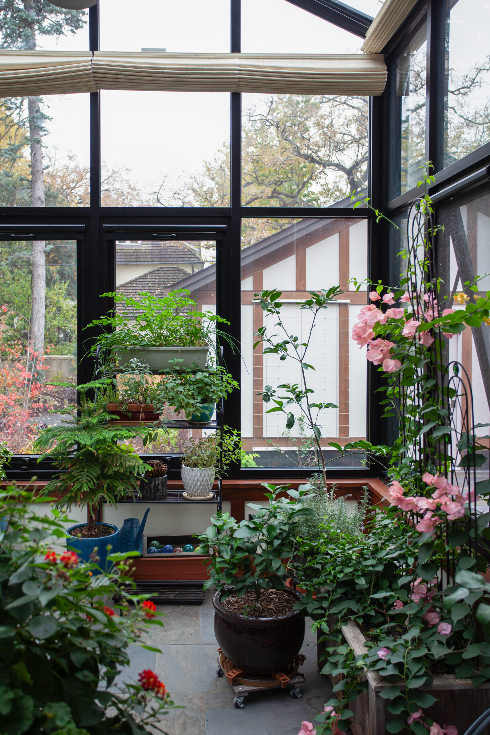 Interior of a glass conservatory with abundant natural light, plants, and a connection to the surrounding landscape